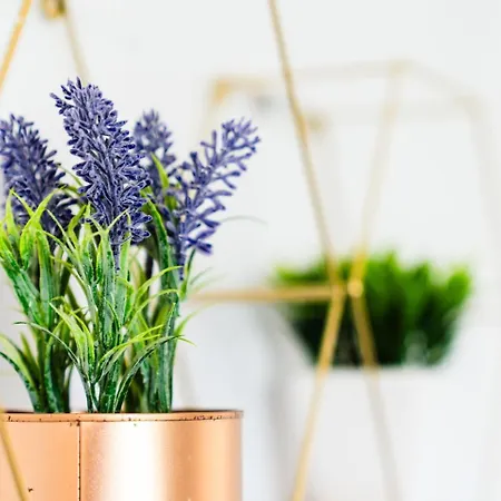 Guestready - Madeiran Peaceful Nook Apartamento *